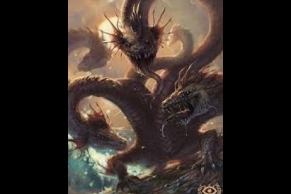Kraken forum